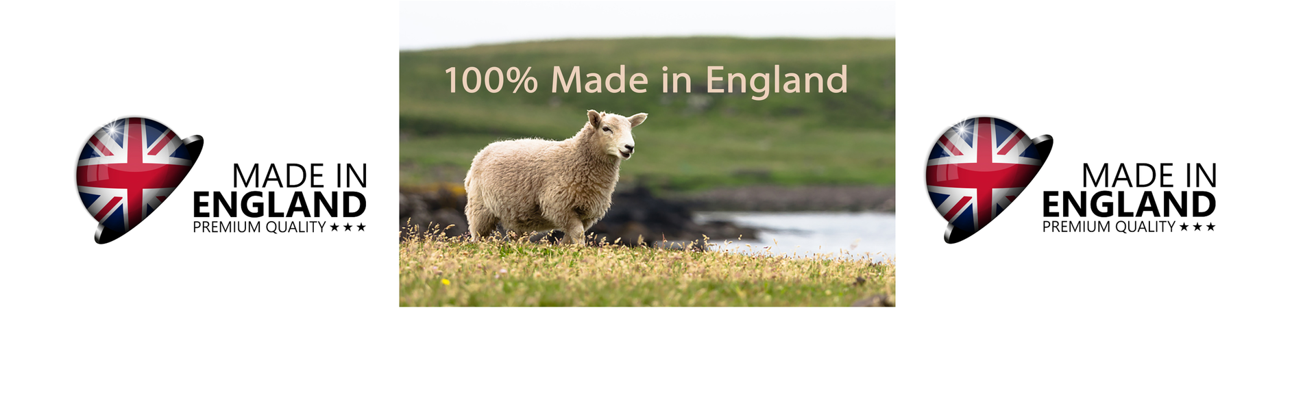 Shetland Wolle